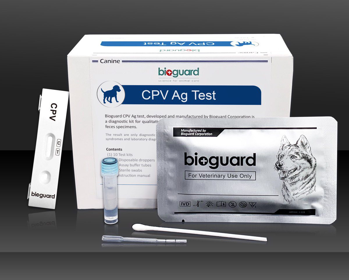 canine distemper virus